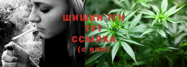 тгк Заводоуковск