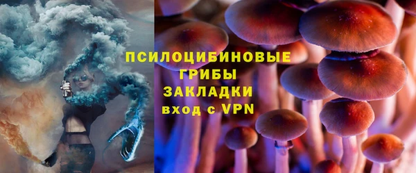тгк Заводоуковск