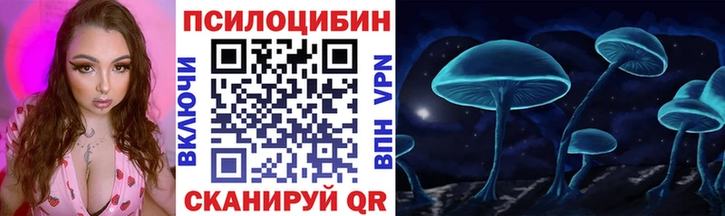 Псилоцибиновые грибы Cubensis  Купить  Весьегонск 